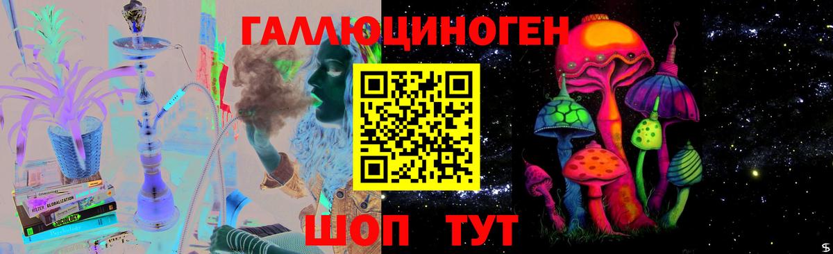 Среднеуральск  Псилоцибиновые грибы Psilocybe  Вход с VPN 